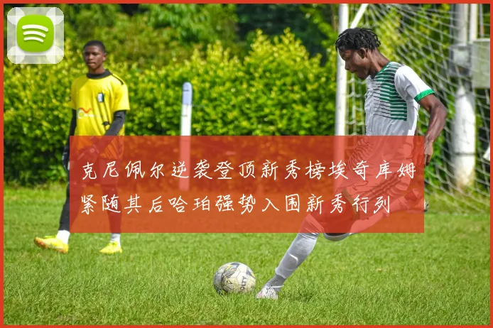 克尼佩尔逆袭登顶新秀榜埃奇库姆紧随其后哈珀强势入围新秀行列