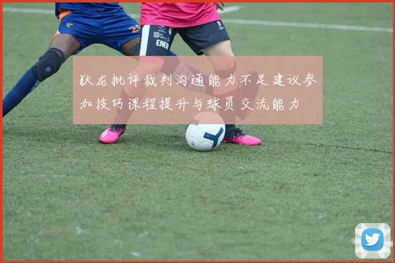 狄龙批评裁判沟通能力不足建议参加技巧课程提升与球员交流能力