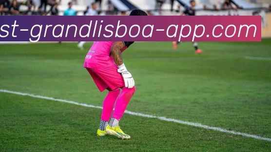 新葡京娱乐服务体系